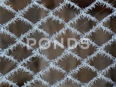 Frosted wire mesh Stock Photos