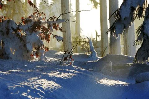 Frostige Zeiten Stock Photos