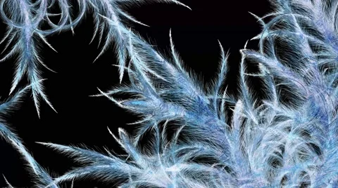 Frostwork on alpha Stock Footage 49414402