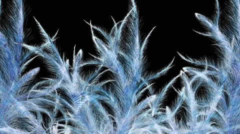 Frostwork Stock Footage 49414390