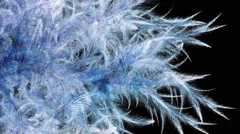 Frostwork Stock Footage 49414392