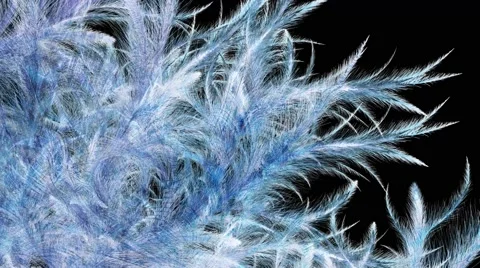 Frostwork Stock Footage 49414395