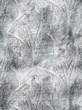 Frostwork pattern ice crystals on black background. Dark surface with abstrac Stock Photos