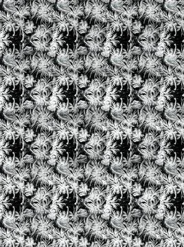 Frostwork pattern ice crystals on black background. Dark surface with abstrac Stock Photos