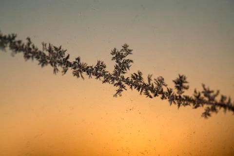 Frosty Abstract Background Stock Photos