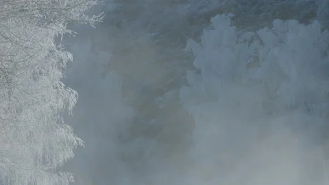 Frosty air against the background of trees in the frost Stock Footage 85716341