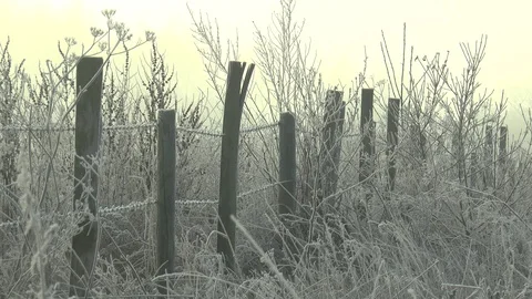 Frosty Barbed Wire Fence Stock Footage 102219012