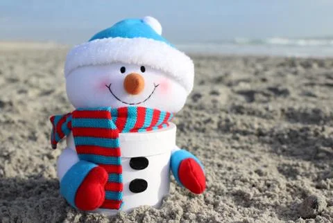 Frosty on the Beach Stock Photos