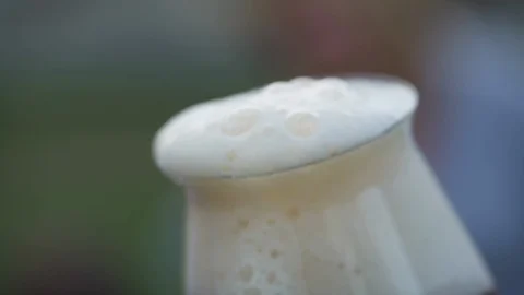 Frosty beer in glass Stock Footage 108736717