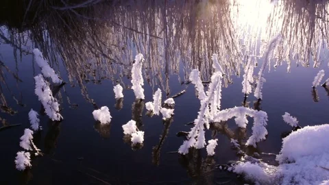 Frosty branches over slowly streaming water Stock Footage 74100385