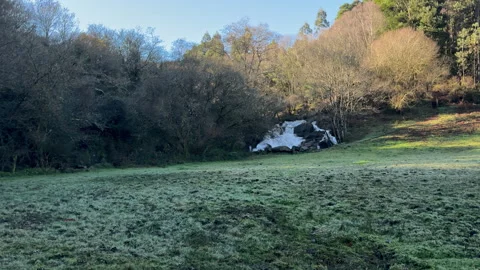 Frosty Dawn at the Forest Waterfall Stock Footage 264346078