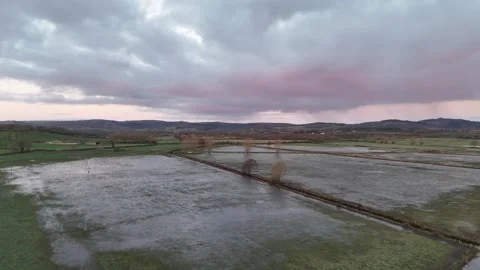 Frosty dawn at Walmore Common, Forest of Dean. Stock Footage 263746078