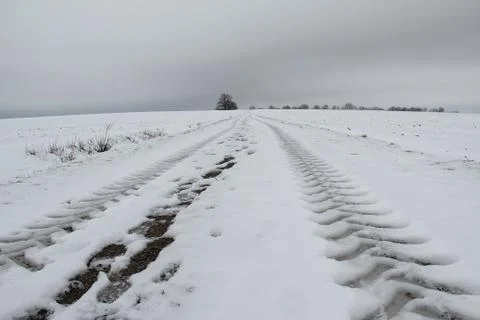 Frosty Day Stock-Fotos