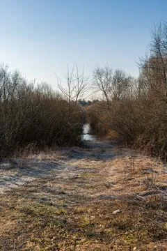 Frosty dirt path to a reflective stream under a clear winter sky Stock Photos