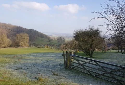 Frosty Field 库存照片