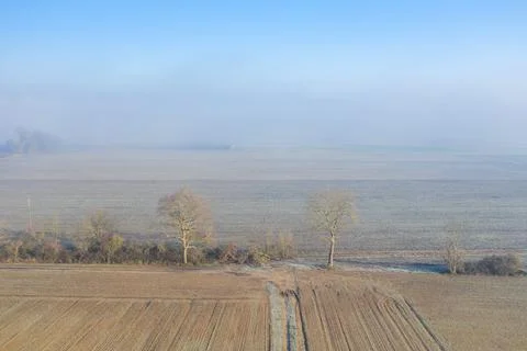 Frosty fields and bare trees under morning haze Stock Photos