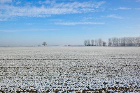 Frosty fields Stock Photos