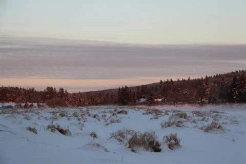 Frosty Fields 写真素材