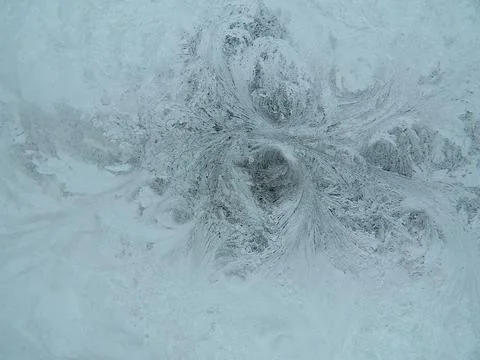 Frosty Florrets Stock Photos