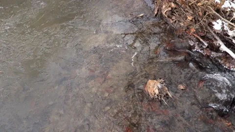 Frosty flowing mountain stream with ice and ice floes in December Stock Footage 166749874