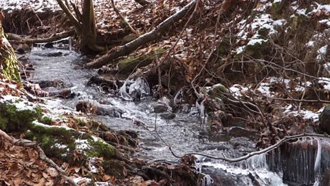 Frosty flowing mountain stream with ice and ice floes in December Stock Footage 166750310