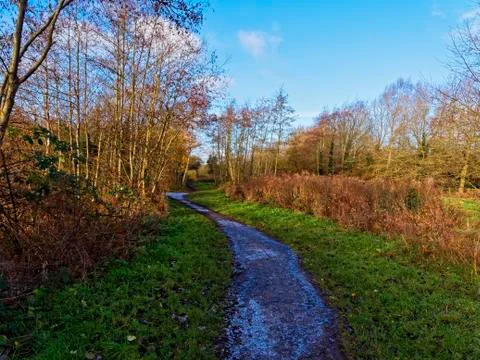 Frosty footpath in the shadows Stock Photos