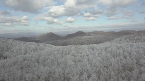 Frosty forest Video stock 313384692