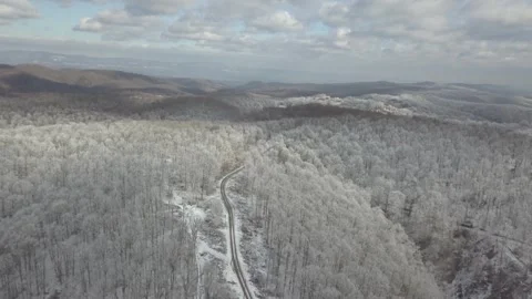 Frosty forest road Video stock 313384691