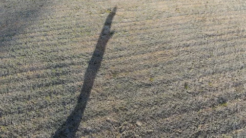 Frosty grass and shadow of man walking Stockbeeldmateriaal 116372061