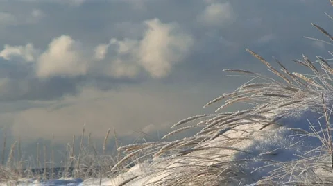 Frosty Grass With Cloud And Ocean Background Stock Footage 955051