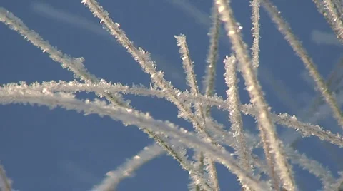 Frosty Grass During A cold Winter Morning Stock Footage 955017