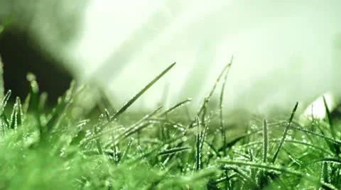 Frosty grass 스톡 동영상 10703868