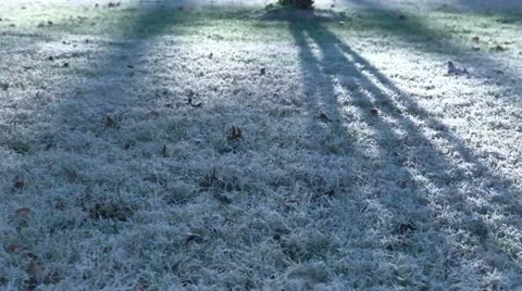 Frosty grass Stock Footage 18196462
