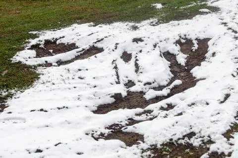 Frosty grass. Tractor trails through snow covered grass in winter Stock Photos