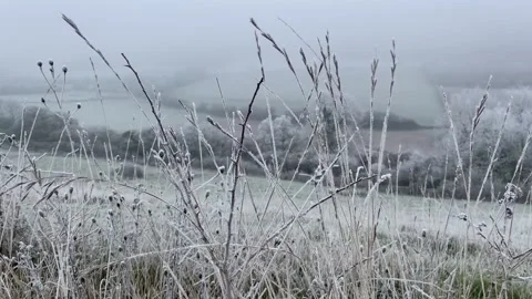 Frosty Grass valley Stock-Footage 227904254