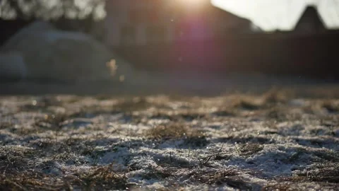 Frosty Grass with Winter Sunset. Stock Footage 306653187
