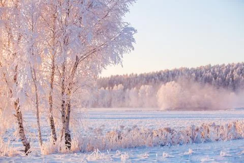 Frosty landscape Foto stock