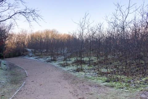 Frosty Landscape Stock Photos