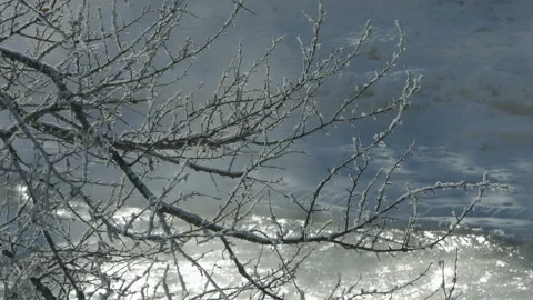 Frosty landscape with tree and river Stock Footage 85716251