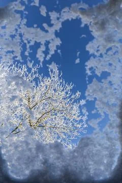 Frosty look through window at tree Stock Photos