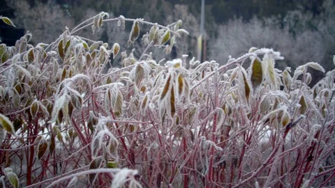 Frosty Morning in Chamonix Stock Footage 104835461