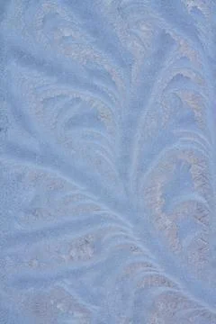 Frosty natural pattern Stock Photos