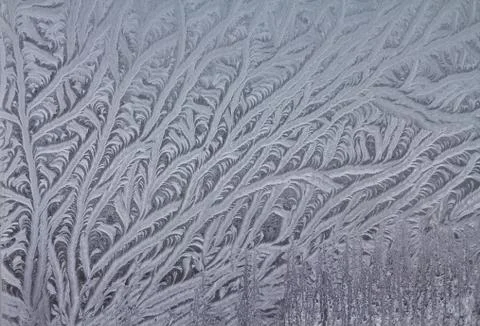 Frosty natural pattern Stock Photos