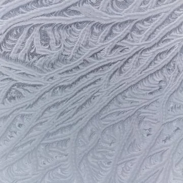 Frosty natural pattern Stock Photos