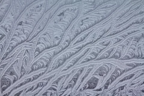 Frosty natural pattern Foto stock
