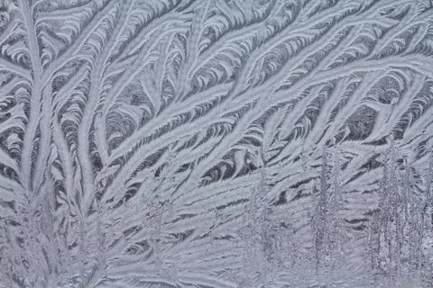 Frosty natural pattern Stock Photos