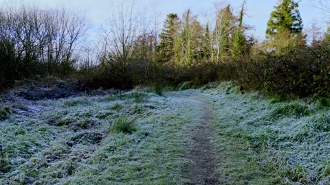 Frosty path Stock-Footage 325448063