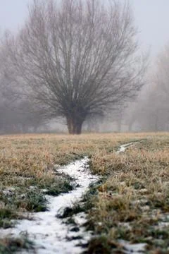 Frosty Path 스톡 사진