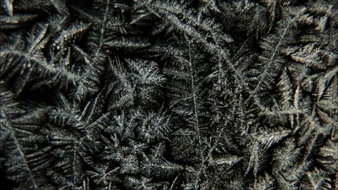 Frosty pattern in the form of fern branches disappears on a black background Stock Footage 86791978
