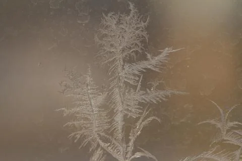 Frosty pattern on the glass, beautiful pattern Stock Photos